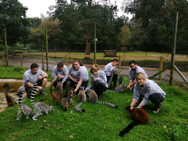 volunteer team with mongoose
