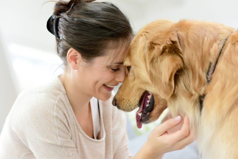 Animal Assisted Therapist