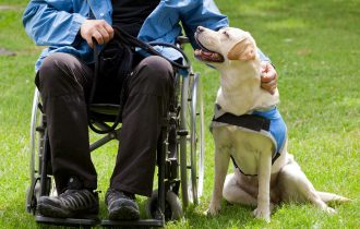Main in Wheelchair with Assistance Dog